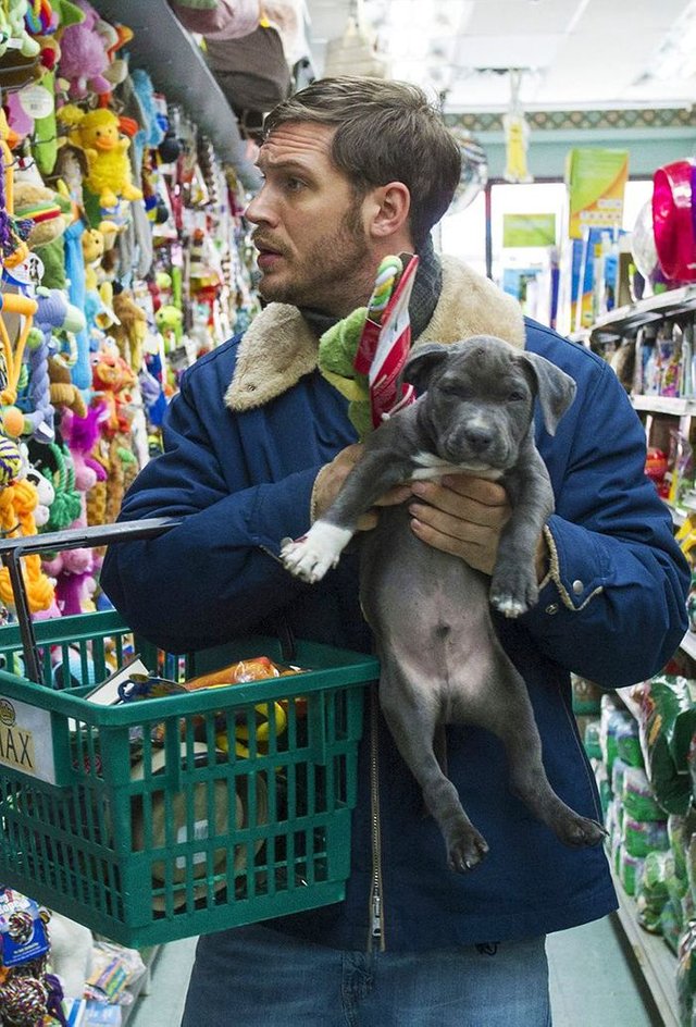 love-for-dogs-tom-hardy-2-59bf68df2cf2e__700.jpg