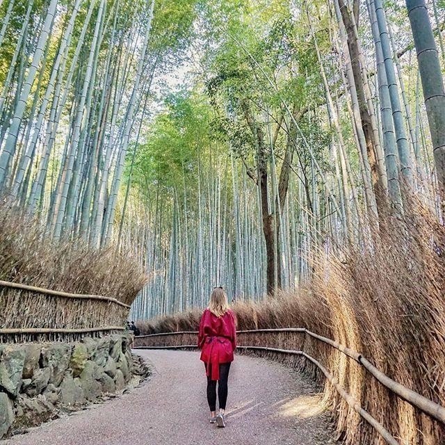 arashiyama-1.jpg