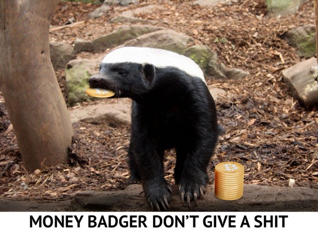 Money Badger Don't Give A Shit.jpg