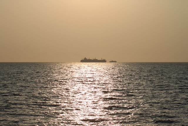 IMG_4251.JPG