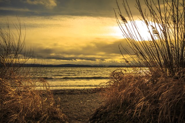 lake-constance-3099081.jpg