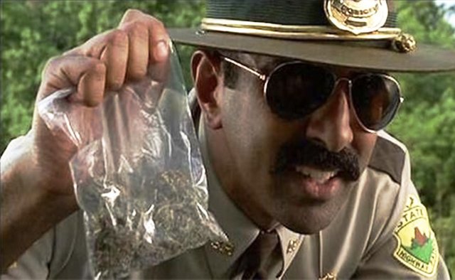 police_and_marijuana.jpg