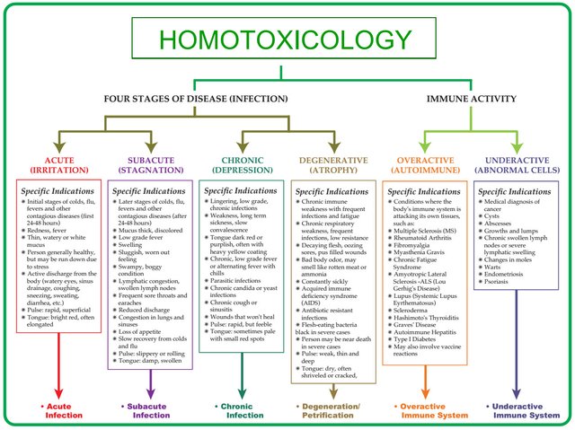 Homotoxicology Chart