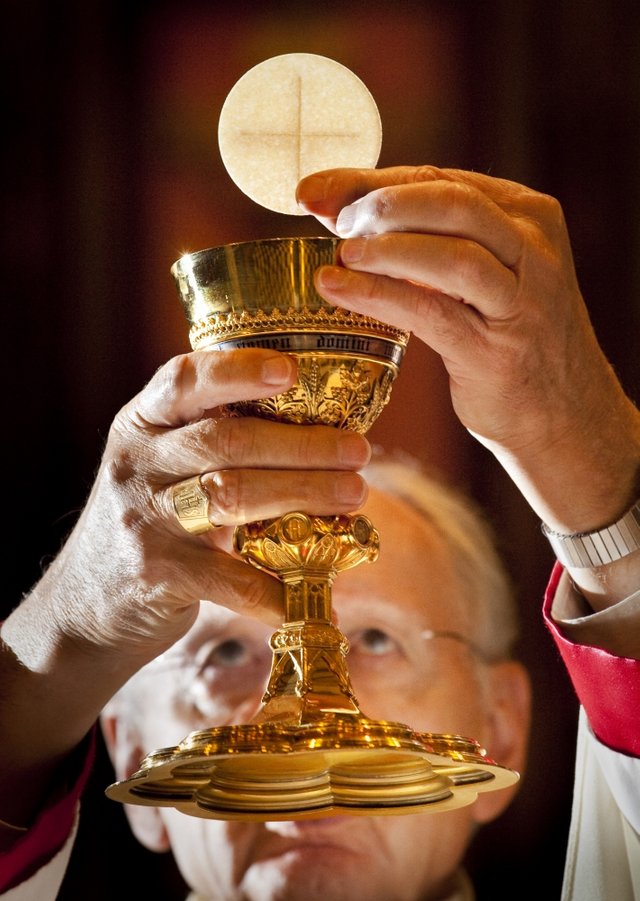 bishop_hermann_eucharist_host_chalice.jpg