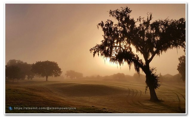 Golf-Course-Sunrise-02-SteemPowerPics.jpg