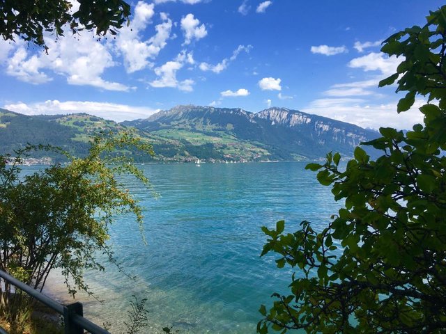 [Landscape] Spiez, Switzerland.jpg