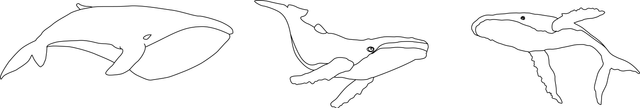 02.png