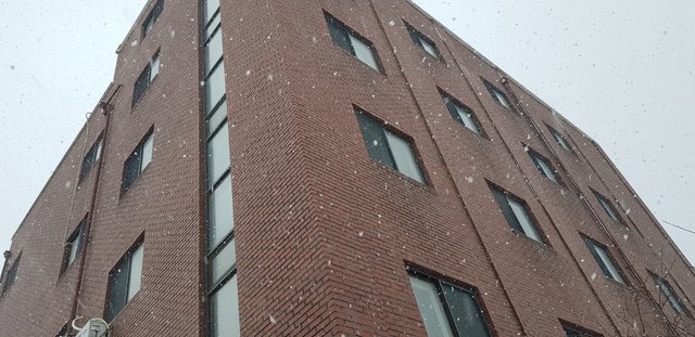 20180112_111007.jpg