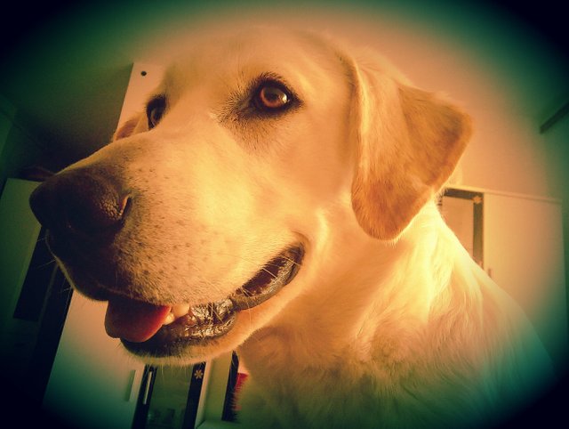 IMAG0677_1.jpg