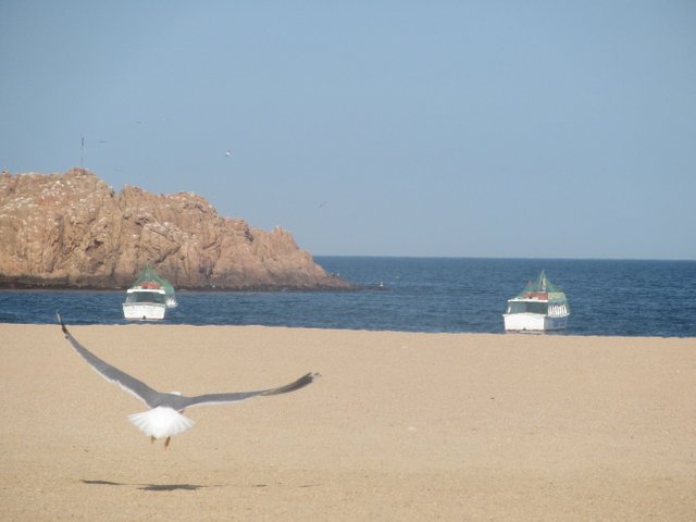 IMG_6812.JPG