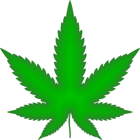 marijuana-2766343__480.png