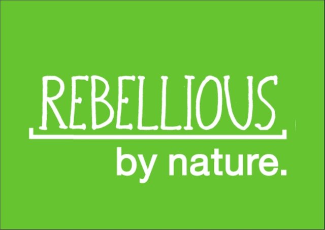 rebellious-nature-campaign-for-wild-thing-1-728.jpg