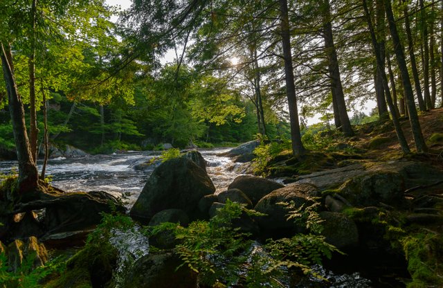 Down By The River (New) (Kejimkujik National Park).jpg