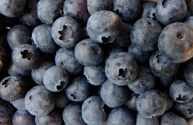 blueberry-3357568_960_720.jpg