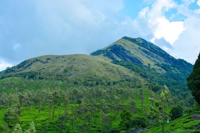 Chembra_peak,wayanad.jpg