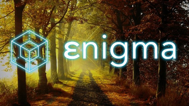 Enigma Cover.jpg