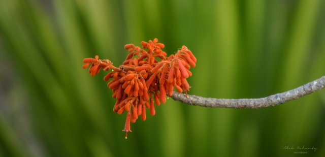 DSC_0362.jpg