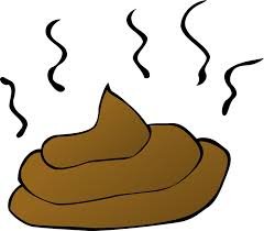 poop.jpg
