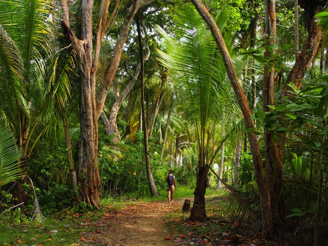 Last stop in Panama: Bocas del Toro