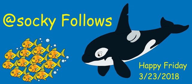 orca follow1.jpg