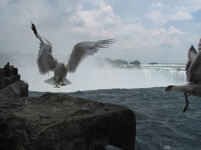 IMG_0431.JPG