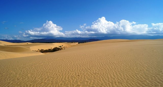 medanos.jpg