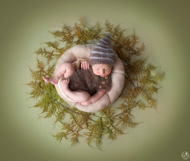 newborn-photos-nature-mandalas-5.jpg