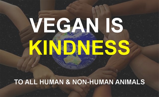 vegan-is-kindness2-1000x610.jpg