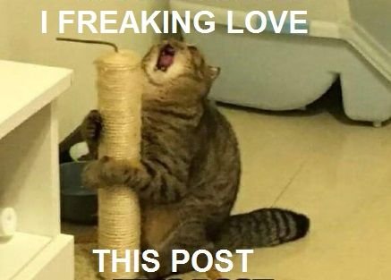 cat loves post.jpg