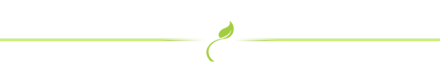 line-separator-green-zps8e704a6c.png