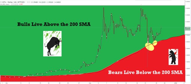 bulls and bears iota.jpg