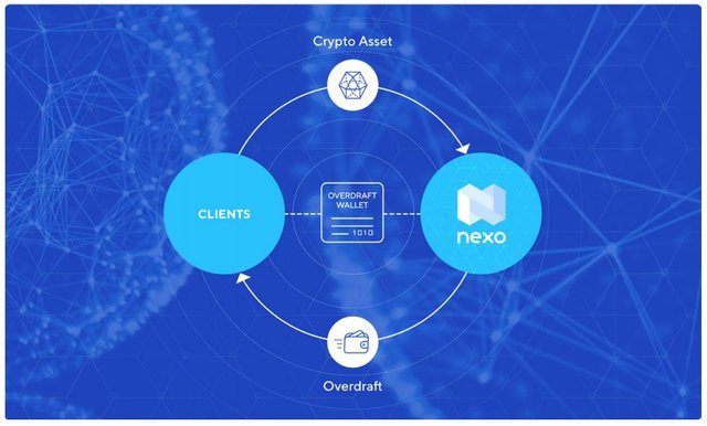 Nexo Overview.JPG