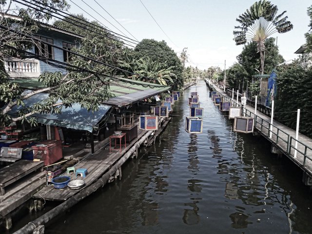 lanterns from above.jpg