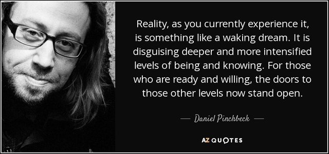 quote-reality-as-you-currently-experience-it-is-something-like-a-waking-dream-it-is-disguising-daniel-pinchbeck-63-48-09.jpg