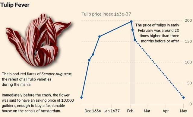tulip-price.jpg