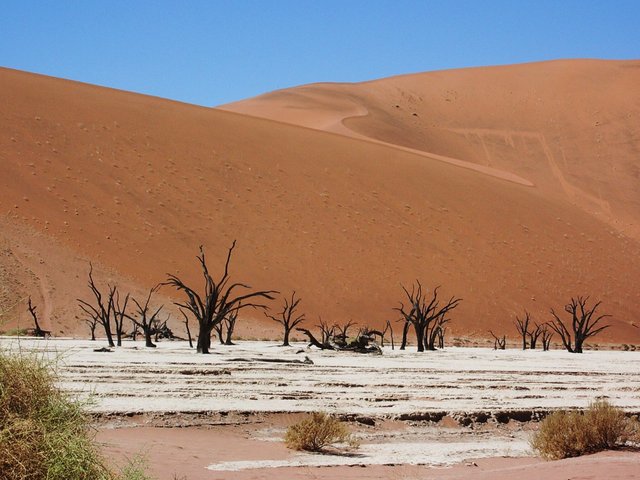 Dooie Vlei2.jpg