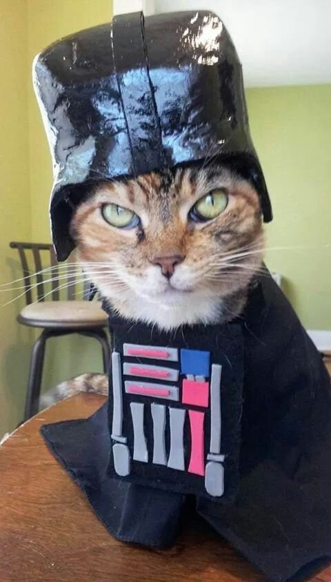 Catvader hat.jpg