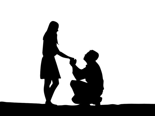 proposal-of-marriage-1724676_960_720.jpg