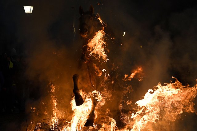 luminarias_3.jpg