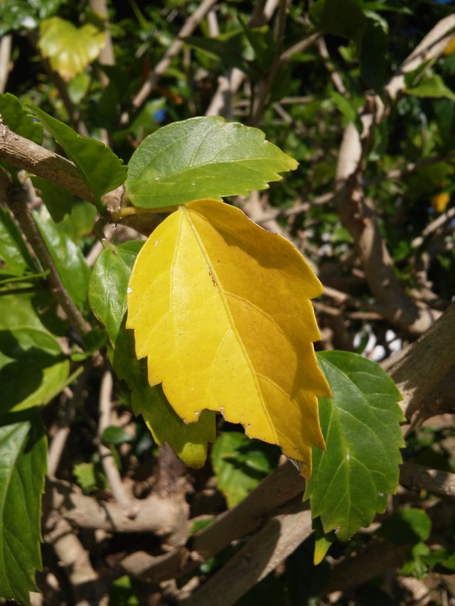 20180110_095424.jpg