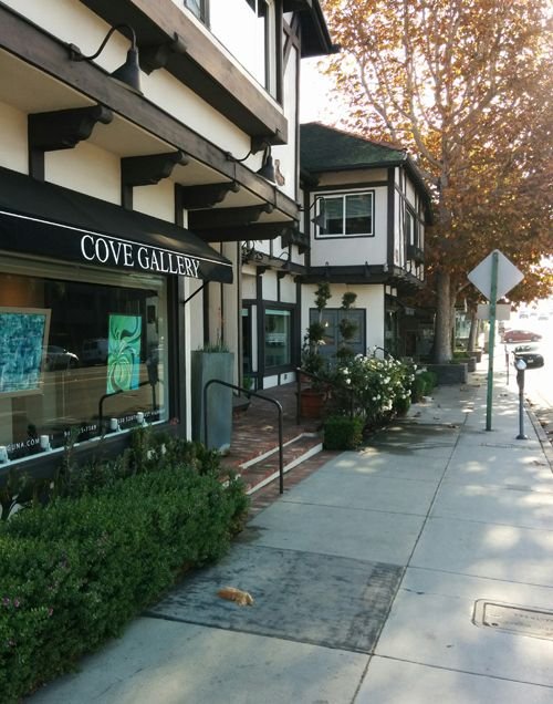 cove front.jpg