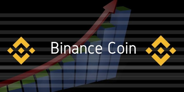 binance coin cryptocurrency.jpg