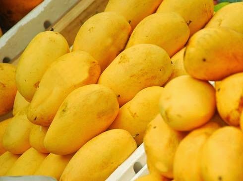 Sweet-mango-fresh-mango-chaunsa-mango-sindhri.jpg