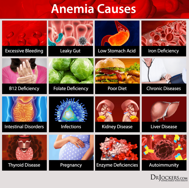 ANEMIA_Causes.png