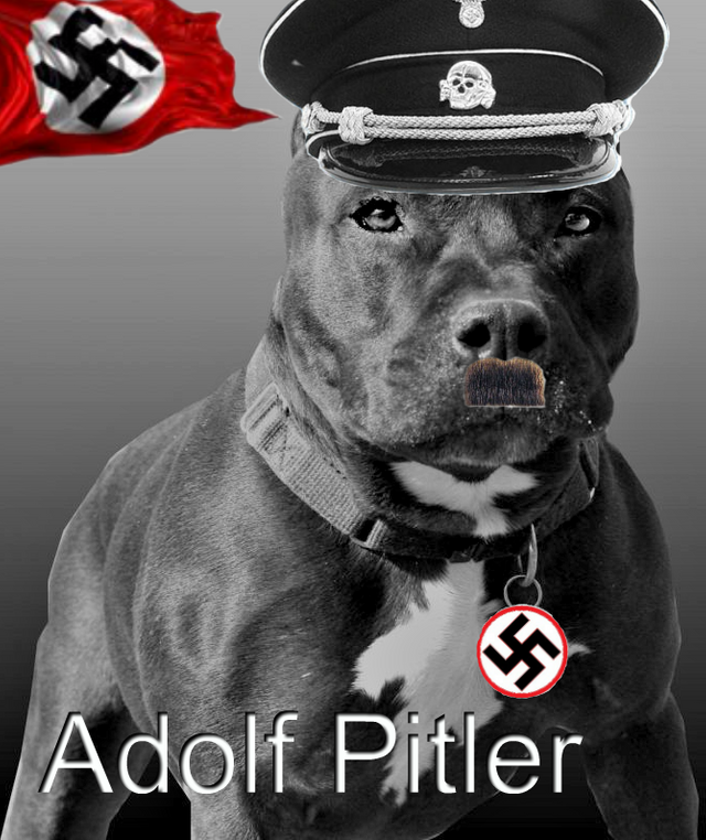 adolf_pitler.png