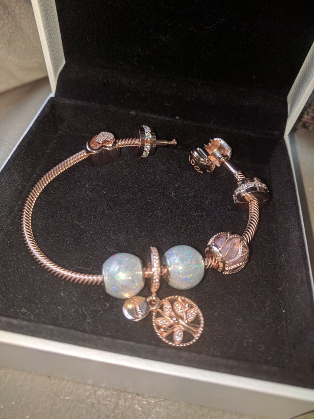Pandora Rose Gold Bracelet and Charms Set Review — Steemit