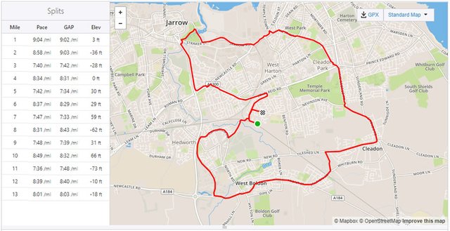 strava4.jpg