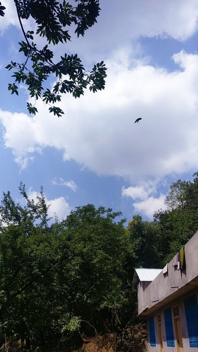 IMG_20170708_104930802.jpg