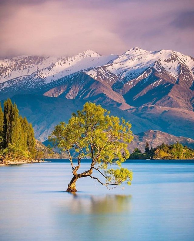 Warm Tones in Wanaka, New Zealand.jpg