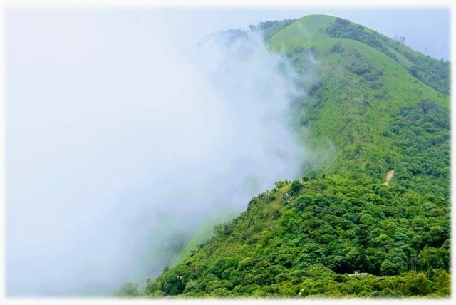 Chikkmagalur5.jpg